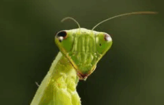 Welcome to Lifted Spiritualism